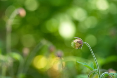 Linköping, Sverige, juni 2025