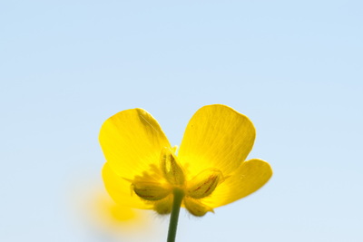 Orø, maj 2024